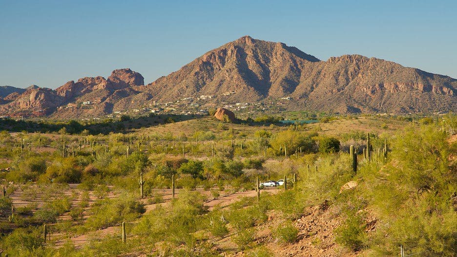 Phoenix Scavenger Hunt